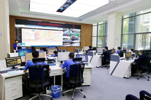 區政協視察全區智慧城管服務系統建設情況 科學化、智能化、智慧化推動城市治理新格局